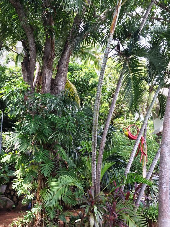 Villa Costa Chica Comodisimo Piscina Gigante Jardines Acapulco Exterior foto